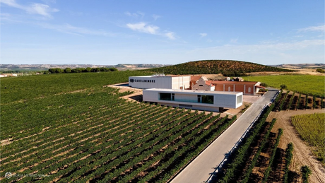 Bodegas Carramimbre