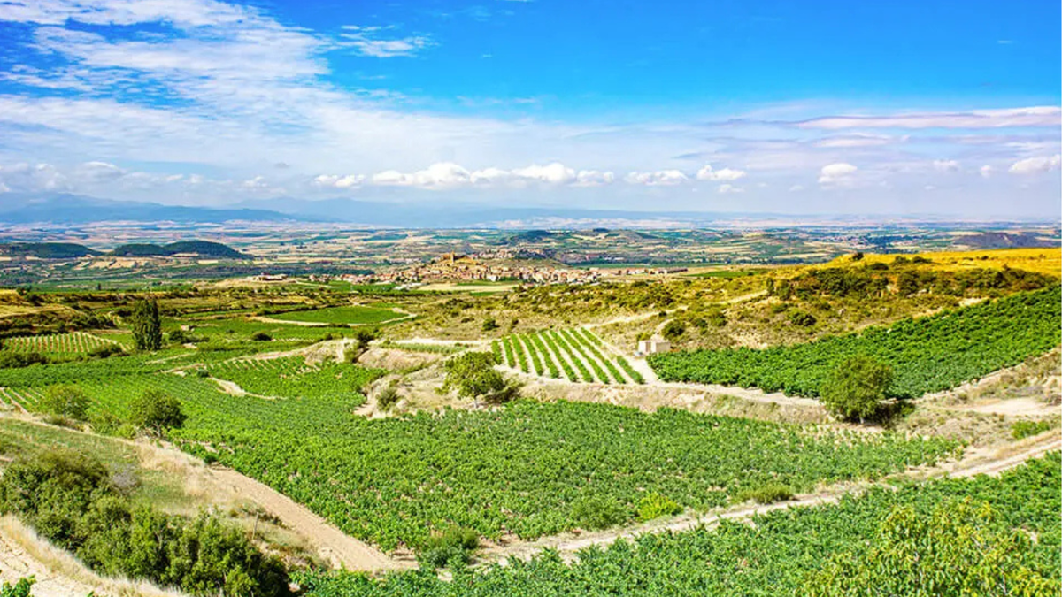 Bodegas Cornelio Dinastía