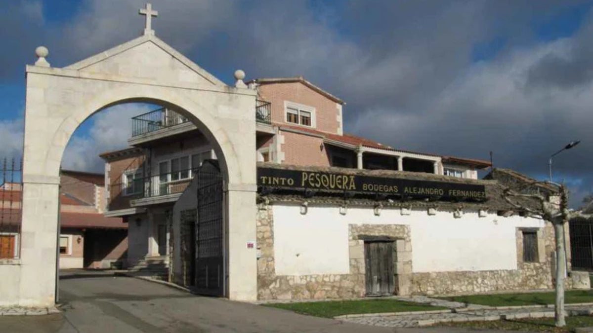 Tinto Pesquera Winery 