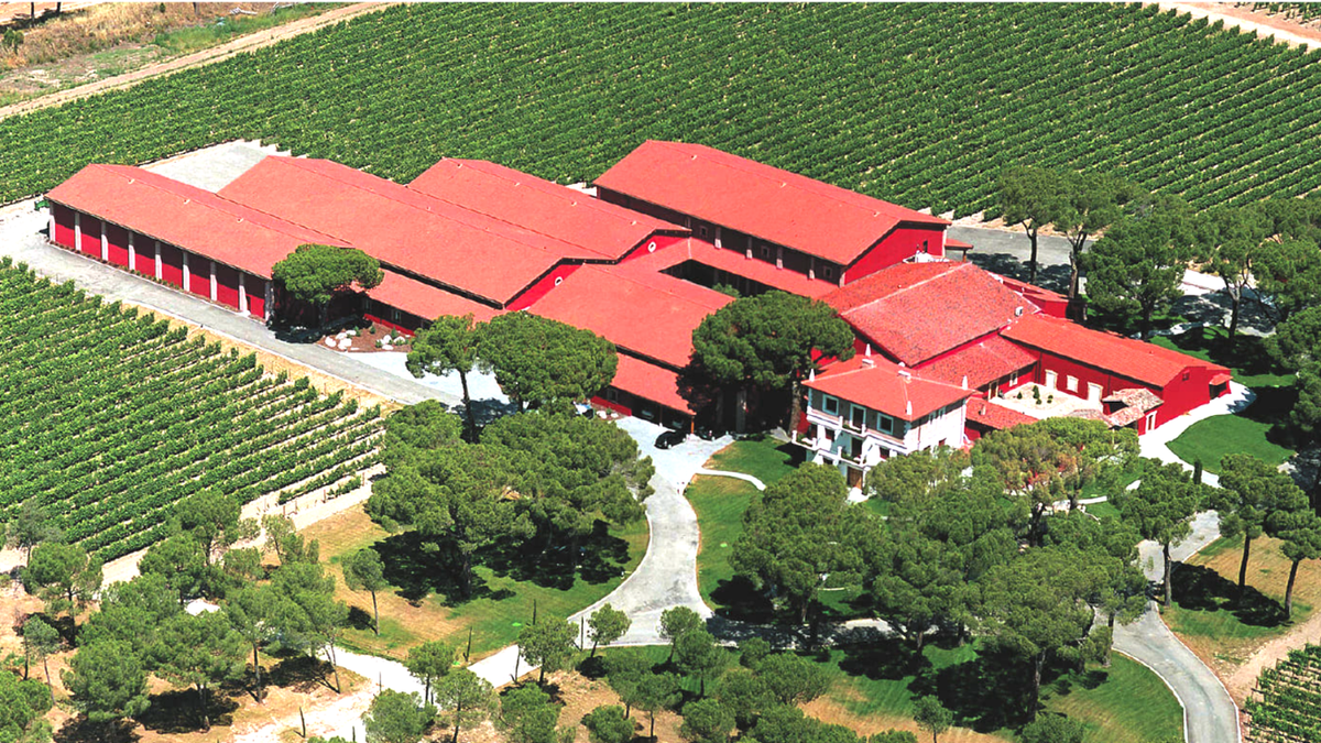 Finca Villacreces Winery