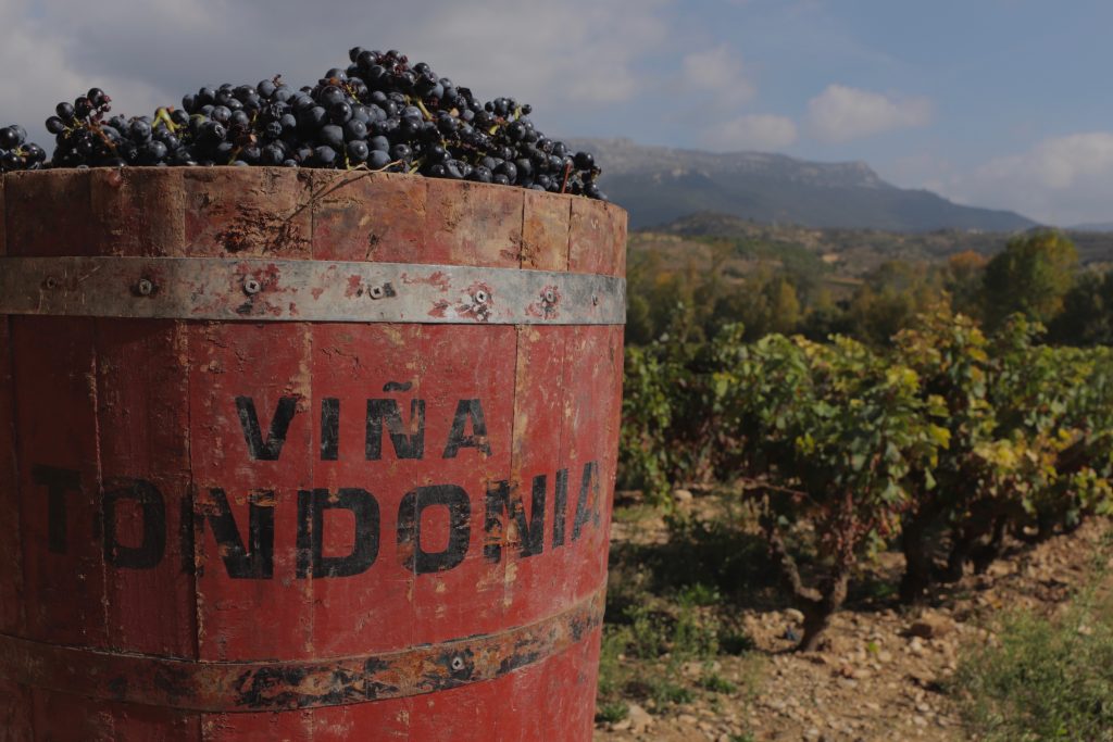 R. Winiarnia López de Heredia – Viña Tondonia