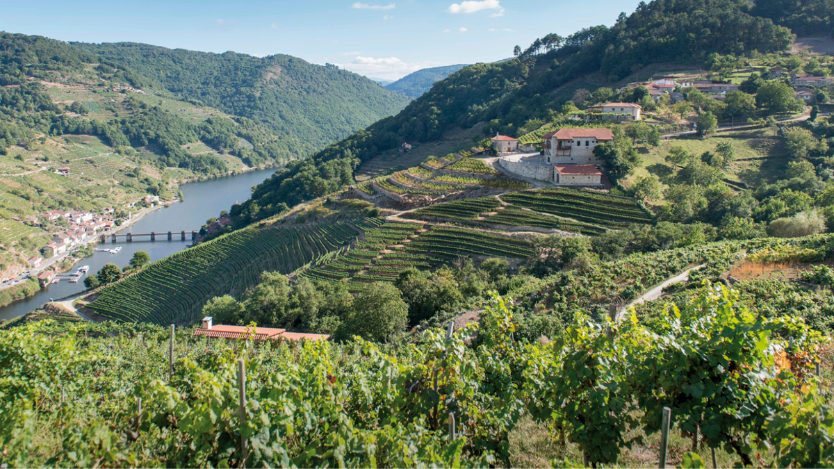 Via Romana Adegas i winnice