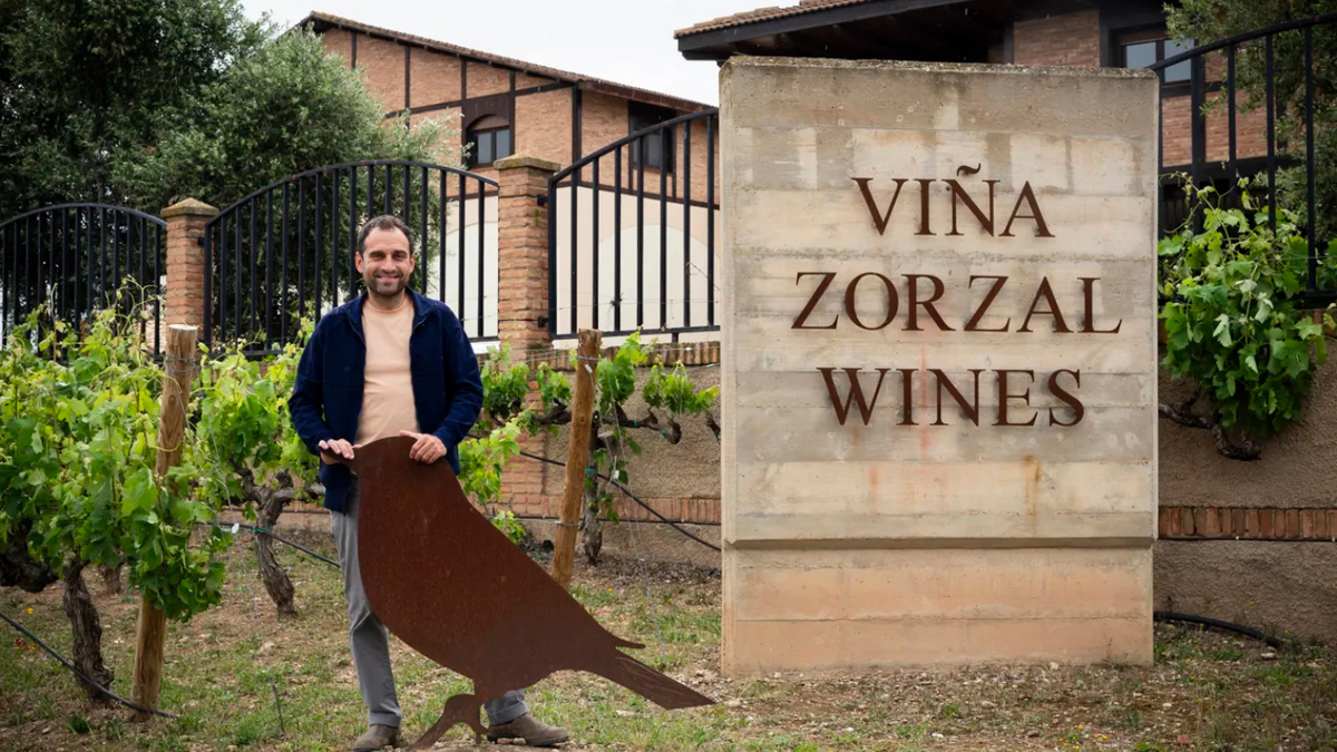 Wina Viña Zorzal