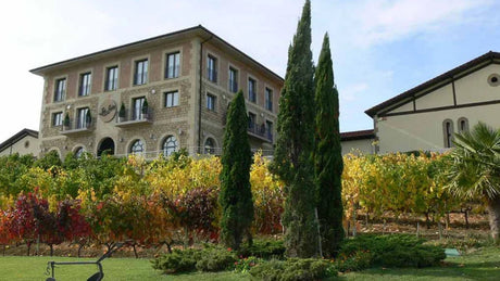 Bodegas Luis Cañas