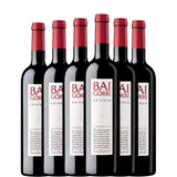 BAIGORRI Crianza 2022 x6 butelek