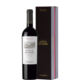 CUESTA DE LAS LIBRES 2020