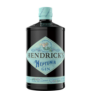 NEPTUNIA HENDRICKA