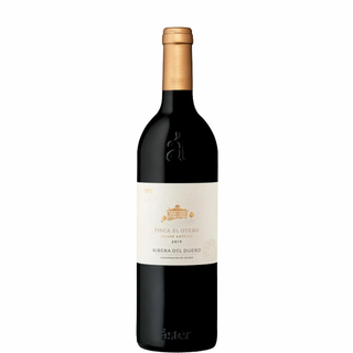 ASTER FINCA EL OTORO 2021