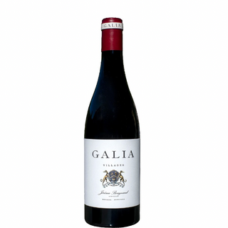 Wioski GALIA 2019