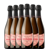 6 butelek JUVE & CAMPS Family Reserve ROSÉ