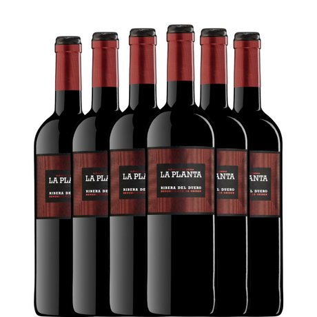 6 bottles of La Planta 2023