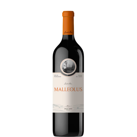 Bottle of Malleolus 2023 from Bodega Emilio Moro