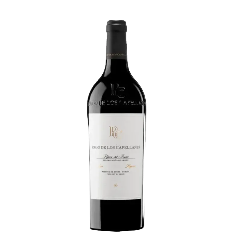 Butelka Pago Los Capellanes Reserva 2021