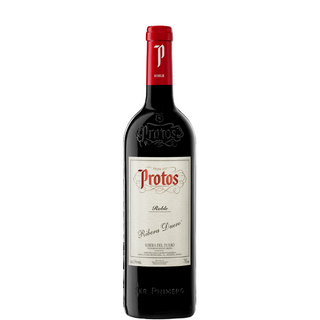 Dąb PROTOS 2024