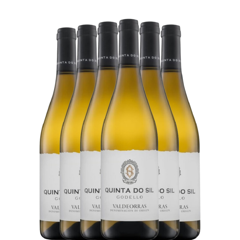 QUINTA DO SIL 2024 x6 botellas