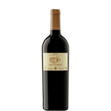 Butelka San Vicente Reserva 2021