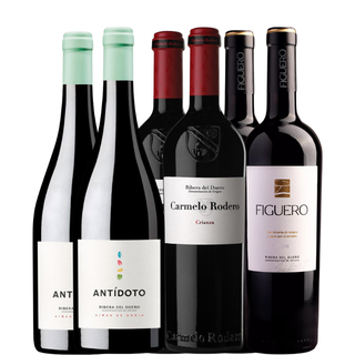 Ribera del Duero Selection