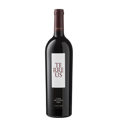 Bottle of Terreus 2023