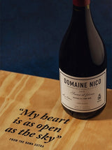 DOMAINA NICO Pinot Noir 2023