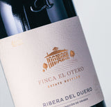 ASTER FINCA EL OTORO 2021