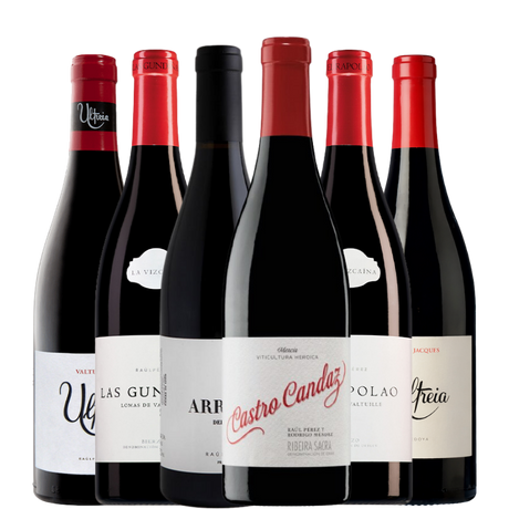 Selección Tintos de  Raul Perez "El Mago del Vino" 6 botellas